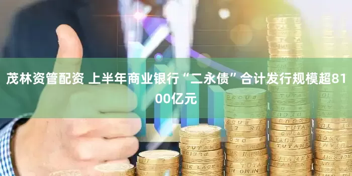茂林资管配资 上半年商业银行“二永债”合计发行规模超8100亿元