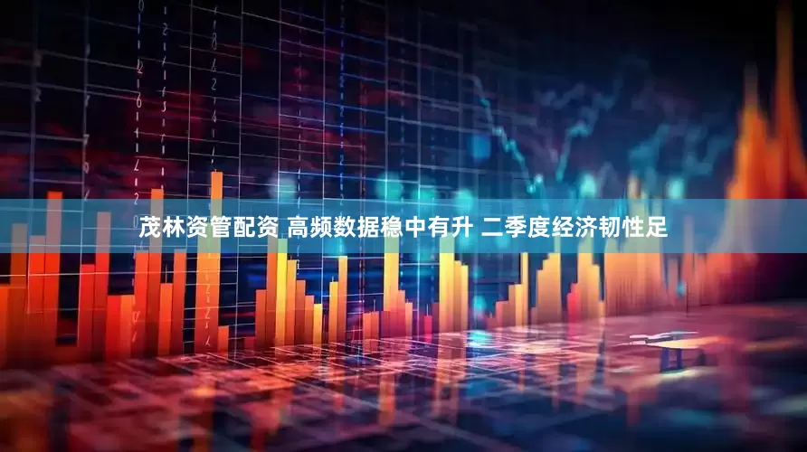 茂林资管配资 高频数据稳中有升 二季度经济韧性足