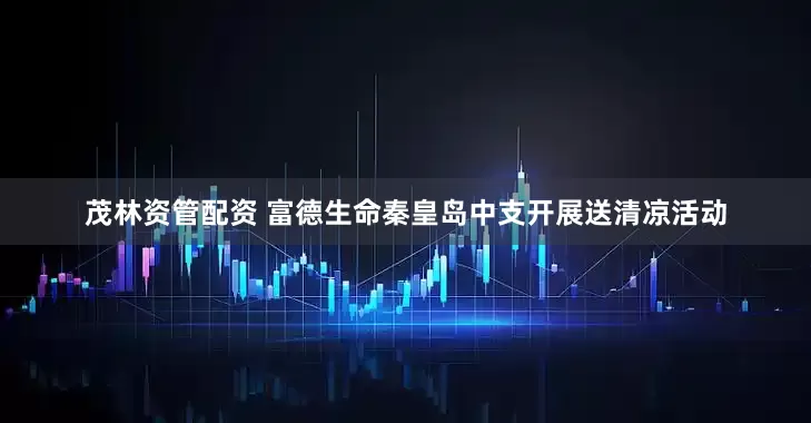 茂林资管配资 富德生命秦皇岛中支开展送清凉活动